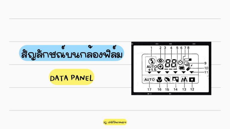 มือใหม่ต้องดู…สัญลักษณ์บนกล้องฟิล์มคอมแพค (DATA PANEL)